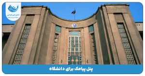 دانشگاه